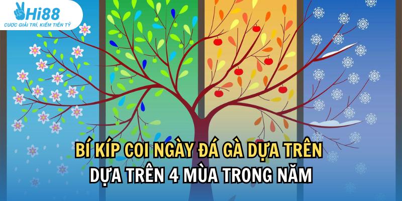 Bí kíp coi ngày đá gà dựa trên 4 mùa trong năm