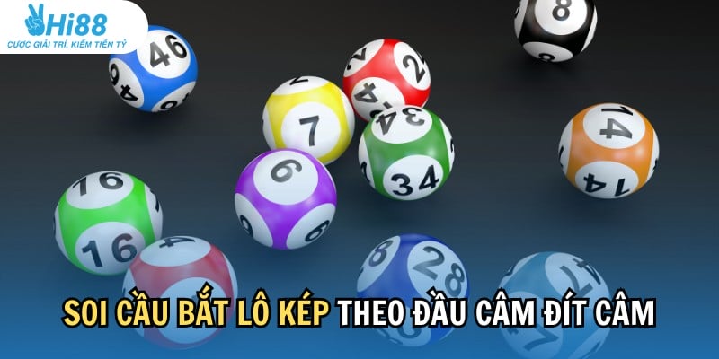 Phương pháp soi cầu bắt lô kép theo đầu câm đít câm