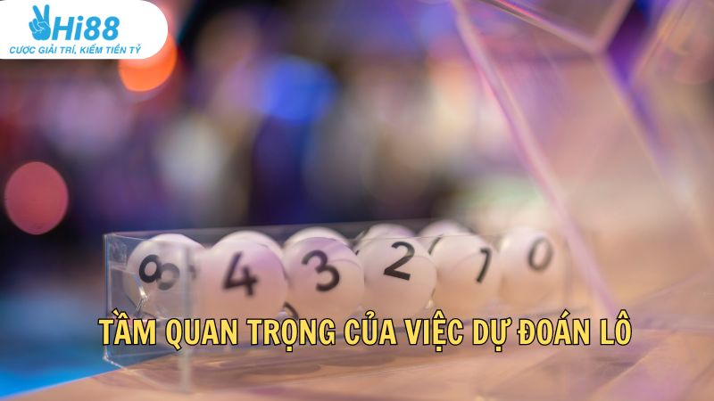 Tầm quan trọng của việc dự đoán lô