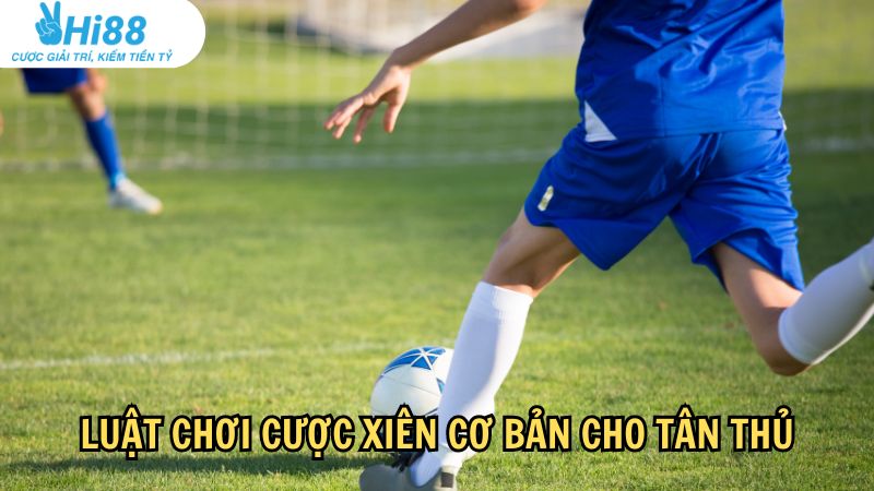 Luật chơi cược xiên cơ bản cho tân thủ