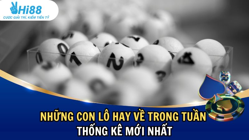 Tổng Hợp Những Con Lô Hay Về Trong Tuần – Thống Kê Mới Nhất