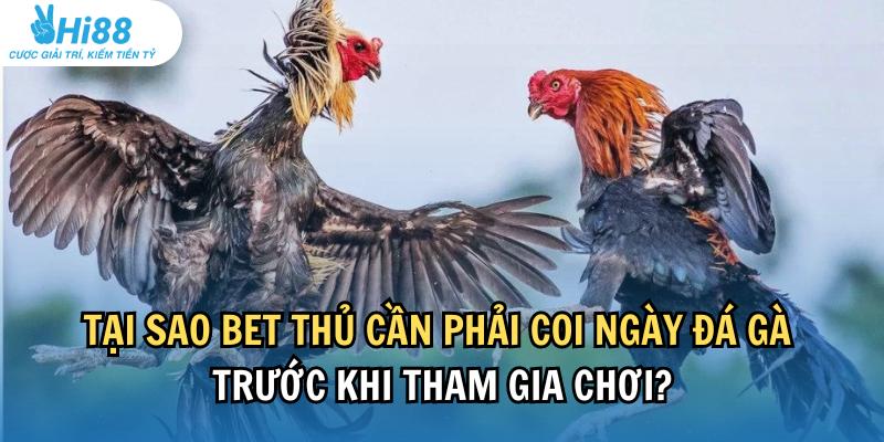 Tại sao bet thủ cần phải coi ngày đá gà trước khi tham gia chơi?